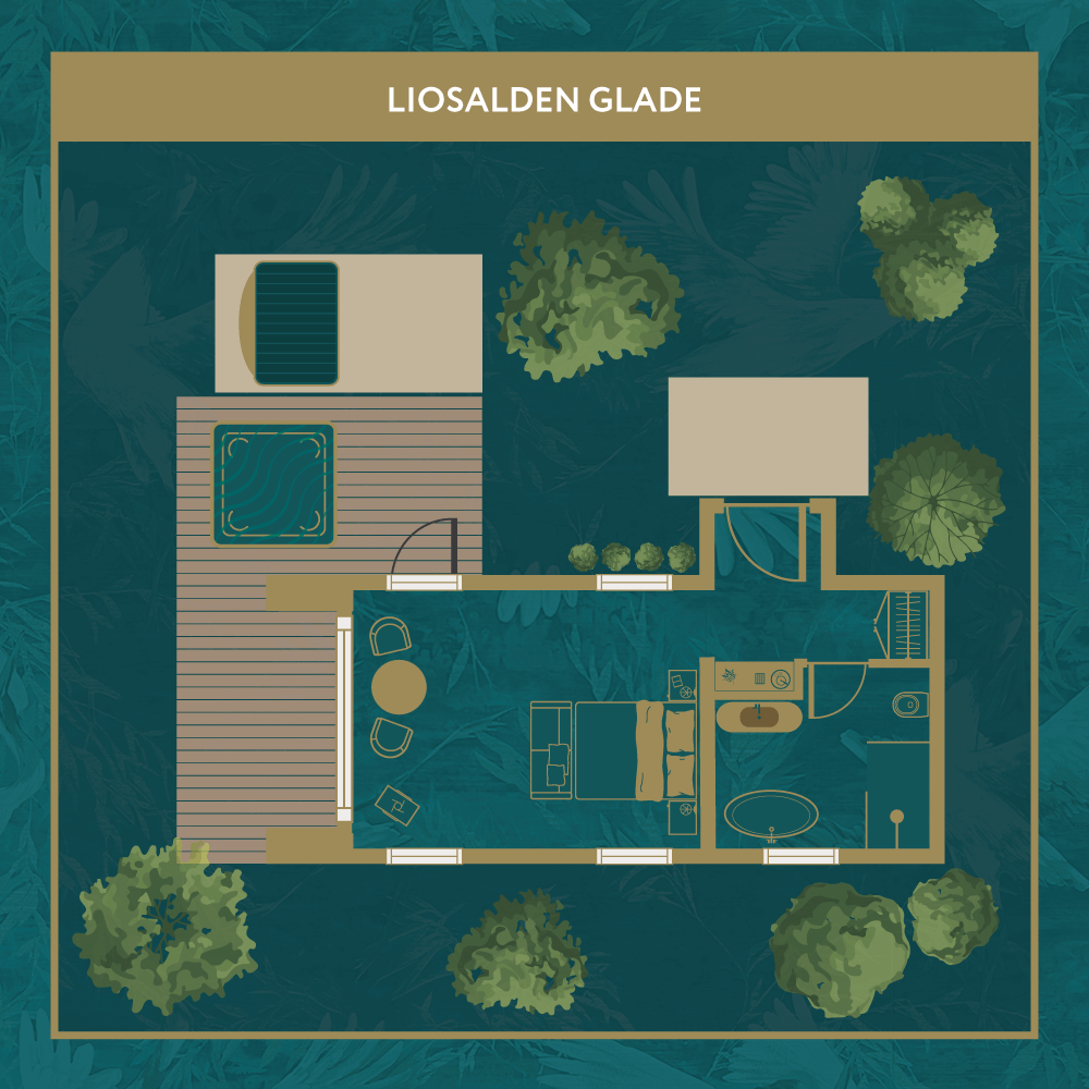Liosalden Glade
